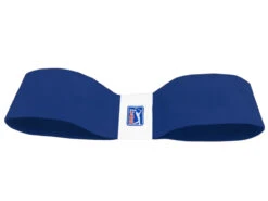 PGA Tour Swing Trainer